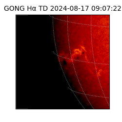 gong - 2024-08-17T09:07:22