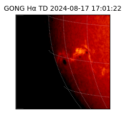 gong - 2024-08-17T17:01:22