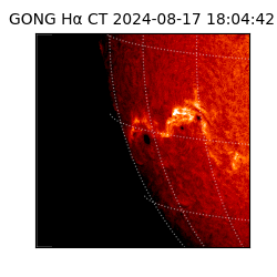 gong - 2024-08-17T18:04:42