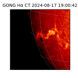 gong - 2024-08-17T19:00:42