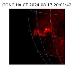 gong - 2024-08-17T20:01:42