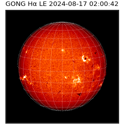 gong - 2024-08-17T02:00:42