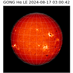 gong - 2024-08-17T03:00:42