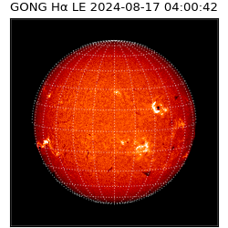 gong - 2024-08-17T04:00:42