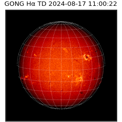 gong - 2024-08-17T11:00:22