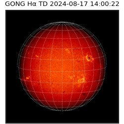gong - 2024-08-17T14:00:22