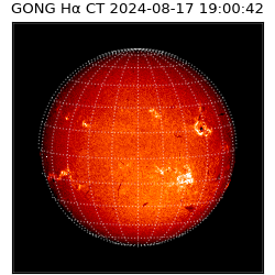 gong - 2024-08-17T19:00:42