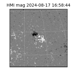 shmi - 2024-08-17T16:58:44