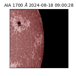 saia - 2024-08-18T09:00:28.710000