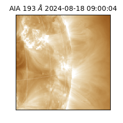 saia - 2024-08-18T09:00:04.843000