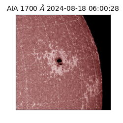 saia - 2024-08-18T06:00:28.717000