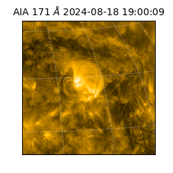 saia - 2024-08-18T19:00:09.350000