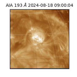 saia - 2024-08-18T09:00:04.843000