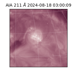 saia - 2024-08-18T03:00:09.632000