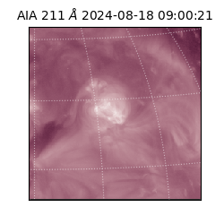 saia - 2024-08-18T09:00:21.640000