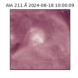 saia - 2024-08-18T10:00:09.630000