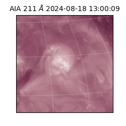 saia - 2024-08-18T13:00:09.630000