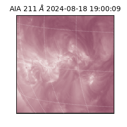 saia - 2024-08-18T19:00:09.633000