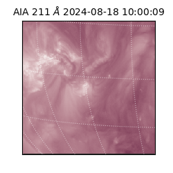 saia - 2024-08-18T10:00:09.630000