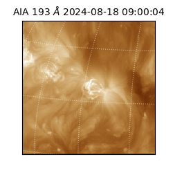 saia - 2024-08-18T09:00:04.843000