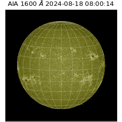 saia - 2024-08-18T08:00:14.126000