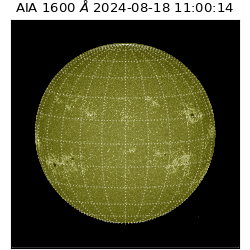 saia - 2024-08-18T11:00:14.129000