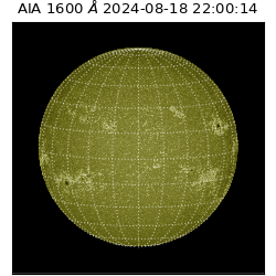 saia - 2024-08-18T22:00:14.126000