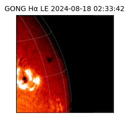 gong - 2024-08-18T02:33:42