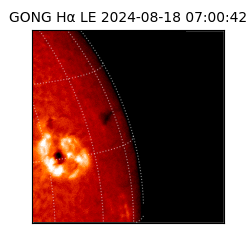 gong - 2024-08-18T07:00:42