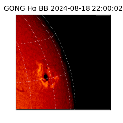 gong - 2024-08-18T22:00:02