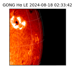 gong - 2024-08-18T02:33:42