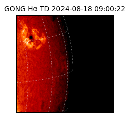 gong - 2024-08-18T09:00:22