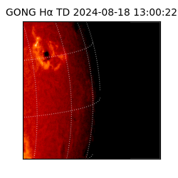 gong - 2024-08-18T13:00:22