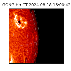 gong - 2024-08-18T16:00:42