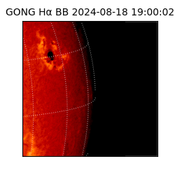 gong - 2024-08-18T19:00:02