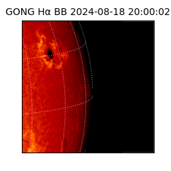 gong - 2024-08-18T20:00:02