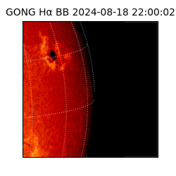 gong - 2024-08-18T22:00:02