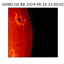 gong - 2024-08-18T23:00:02