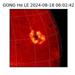 gong - 2024-08-18T06:02:42