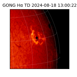 gong - 2024-08-18T13:00:22