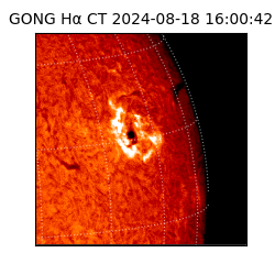 gong - 2024-08-18T16:00:42