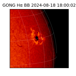 gong - 2024-08-18T18:00:02