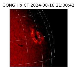 gong - 2024-08-18T21:00:42