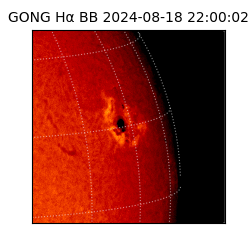 gong - 2024-08-18T22:00:02