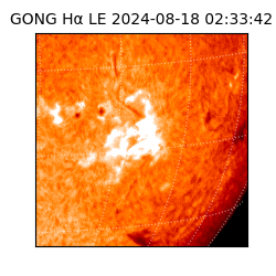 gong - 2024-08-18T02:33:42