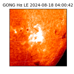 gong - 2024-08-18T04:00:42