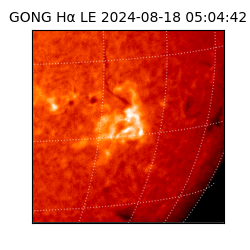 gong - 2024-08-18T05:04:42