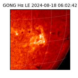 gong - 2024-08-18T06:02:42