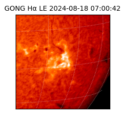 gong - 2024-08-18T07:00:42