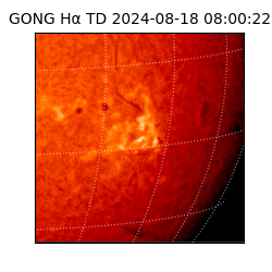 gong - 2024-08-18T08:00:22